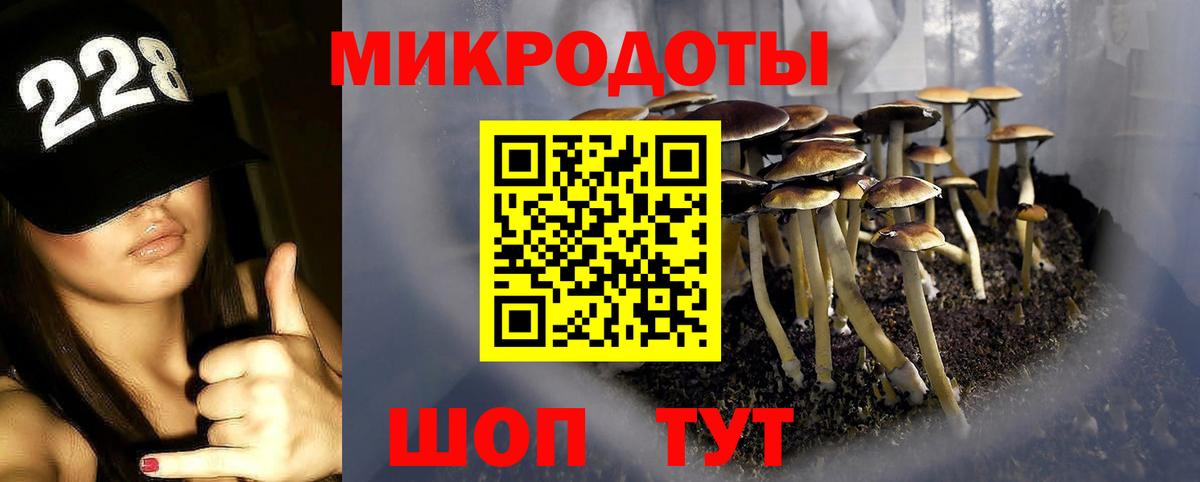 Галлюциногенные грибы Magic Shrooms  Галлюциногенные грибы Psilocybine cubensis  Вход с VPN  где купить   Норильск 